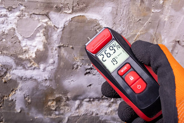 Best Mold Cleaning Services  in Mayville, NY